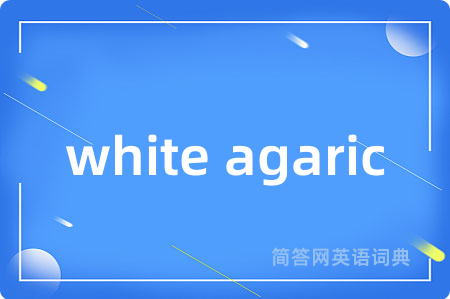 white agaric是什么意思,white agaric的中文翻译 white agaric