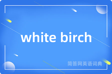 white birch