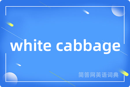 white cabbage