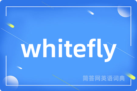 whitefly