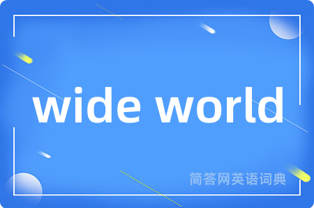 wide world是什么意思,wide world的中文翻译 wide world