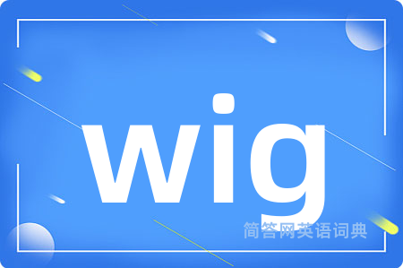 wig