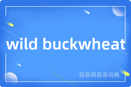 wild buckwheat是什么意思,wild buckwheat的中文翻译 wild buckwheat