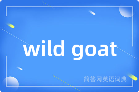 wild goat