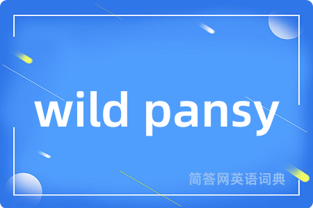 wild pansy
