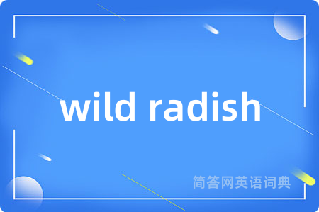 wild radish是什么意思,wild radish的中文翻译 wild radish