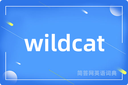 wildcat是什么意思,wildcat的中文翻译 wildcat