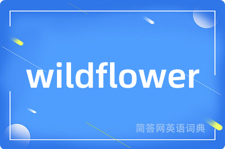 wildflower是什么意思,wildflower的中文翻译 wildflower