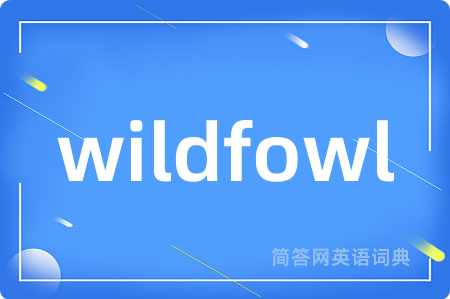wildfowl是什么意思,wildfowl的中文翻译 wildfowl