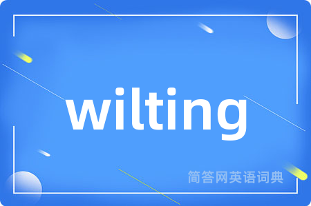 wilting