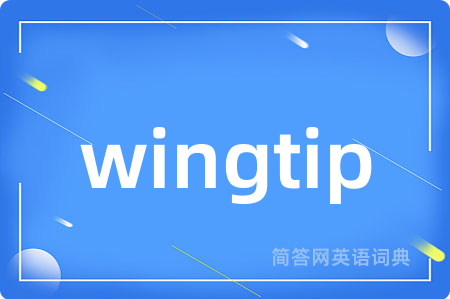 wingtip是什么意思,wingtip的中文翻译 wingtip