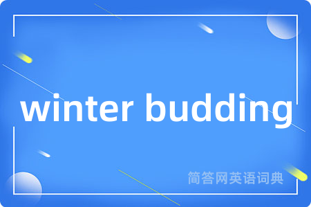 winter budding是什么意思,winter budding的中文翻译 winter budding
