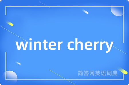 winter cherry