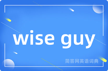 wise guy是什么意思,wise guy的中文翻译 wise guy