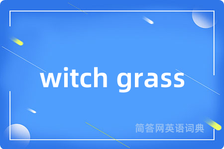 witch grass