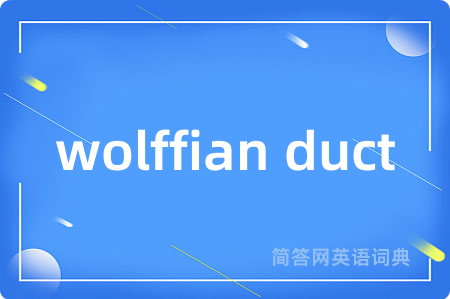 wolffian duct是什么意思,wolffian duct的中文翻译 wolffian duct