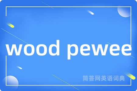 wood pewee