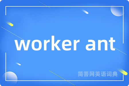 worker ant是什么意思,worker ant的中文翻译 worker ant