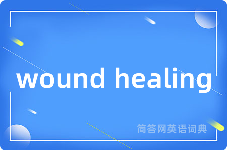 wound healing是什么意思,wound healing的中文翻译 wound healing