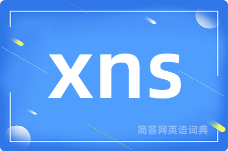 xns是什么意思,xns的中文翻译 xns