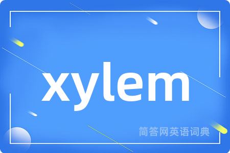 xylem