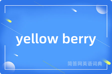 yellow berry是什么意思,yellow berry的中文翻译 yellow berry