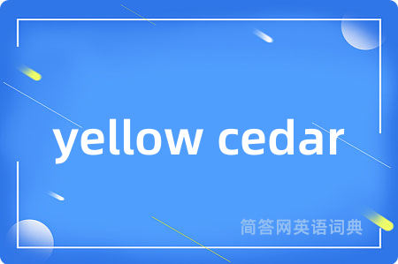 yellow cedar