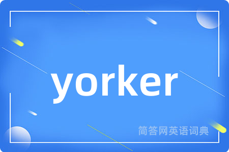 yorker是什么意思,yorker的中文翻译 yorker
