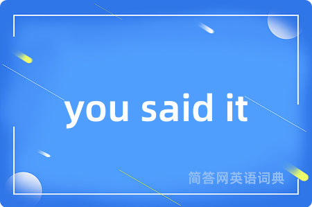 you said it是什么意思,you said it的中文翻译 you said it