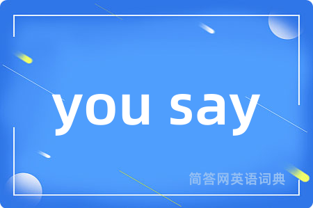 you say是什么意思,you say的中文翻译 you say