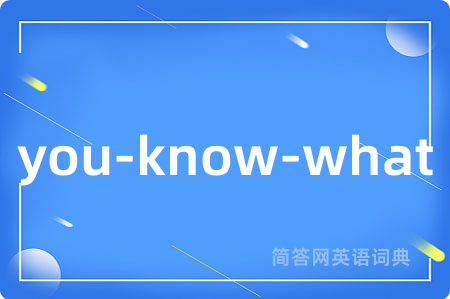 you-know-what是什么意思,you-know-what的中文翻译 you-know-what
