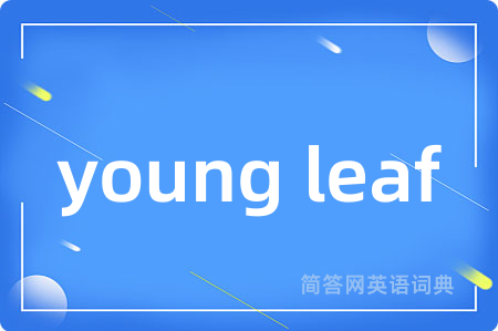 young leaf是什么意思,young leaf的中文翻译 young leaf