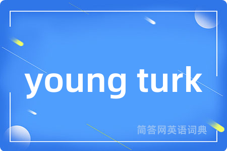 young turk是什么意思,young turk的中文翻译 young turk