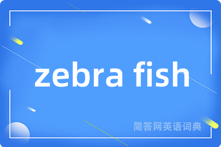 zebra fish