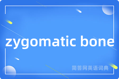 zygomatic bone是什么意思,zygomatic bone的中文翻译 zygomatic bone