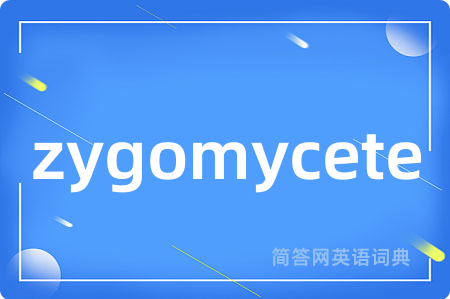 zygomycete是什么意思,zygomycete的中文翻译 zygomycete